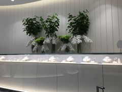 -御木本(银座2丁目本店)