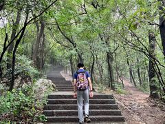 -紫金山天文台