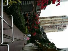 android_upload_pic-铁路文化公园