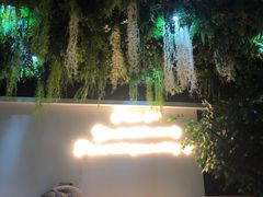 -Husky Go! 哈士奇体验馆·宠物咖啡厅狗咖