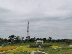 -紫颐香薰山谷景区