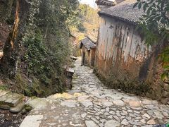 -杨家堂村