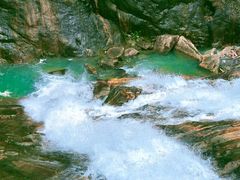 -广州白江湖森林公园