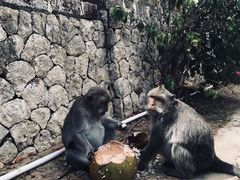-乌鲁瓦图寺