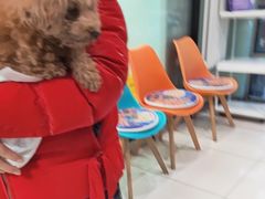 -纳吉亚猫专科动物医院博雅分院