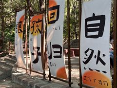 -山叶口景区