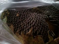 android_upload_pic-清真老马家国华牛奶鸡蛋醪糟(正宁路店)