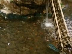 -森谷美食公园(杨行店)