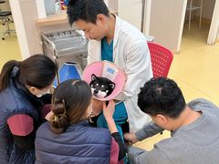 -芭比堂动物医院·犬猫全科·异宠专科(雁塔分院)