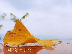 -重庆平顶山公园