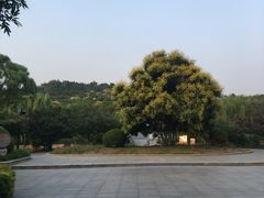 -南翠屏公园