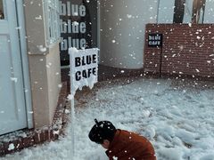 -Blue Concept Cafe&Farm·關於藍