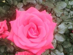 -人民公园(罗湖区)