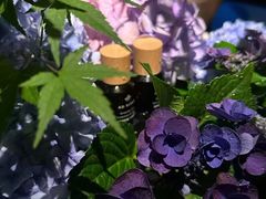 -Love Story爱情故事·养生SPA会所(新侨店)