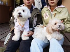 -上海神旺大酒店