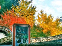 -乌山风景区