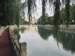 -白云观