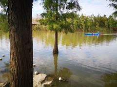 -上海长兴岛郊野公园