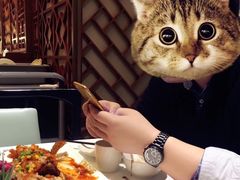 -洋洋中餐馆·SINCE 1997(信投店)