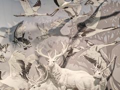 -中国湿地博物馆