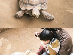 -杭州野生动物世界