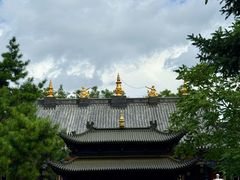-护国法轮寺