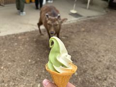 -奈良公园