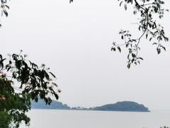 -上海市保健医疗中心