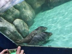 -重庆欢乐海底世界