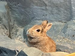 -Zoolung Zoolung动物主题公园(海信广场店)