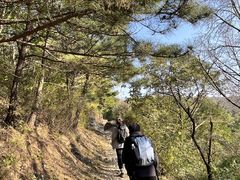 -阳台山自然风景区