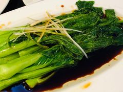 -云中小雅
