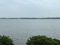 -丁香湖公园