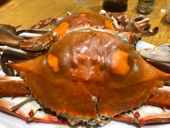 -胖大嫂渔家排档·全海景餐厅(渔村店)