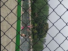 -柳浪游泳场