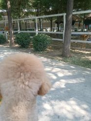-优沃得自然教育农场·冰雪乐园·生日会·研学