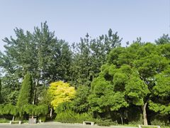 -抱犊寨风景区