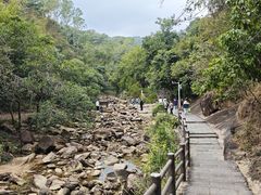 -广州白江湖森林公园