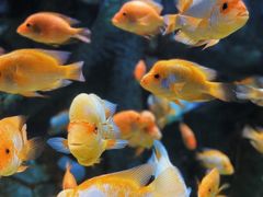 -泉城欧乐堡海洋极地世界