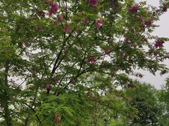 -尚贤河湿地
