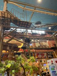 -卡通尼·Safari非洲探索乐园·生日会(金桥国际商业广场店)