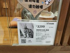 -龟与熊猫宠物公园(南坪店)