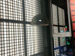 -管氏翅吧(台湾街店)