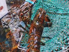 -盒马鲜生(大成店)