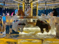 -沈阳奥体冰雪嘉年华