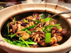 生啫八爪鱼-啫神·广州地标美食(北京路店)