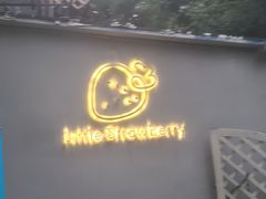 -小草莓·Little Strawberry