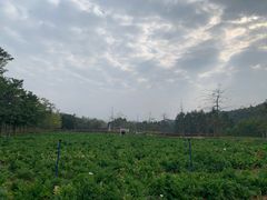 -清远熹乐谷温泉度假酒店