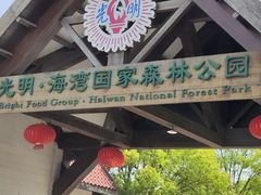 -上海海湾国家森林公园