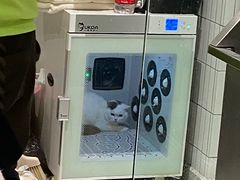 -電力宠物公司(武定路店)